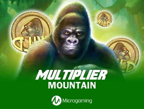 Multiplier Mountain